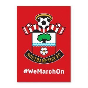 Image result for southampton fc