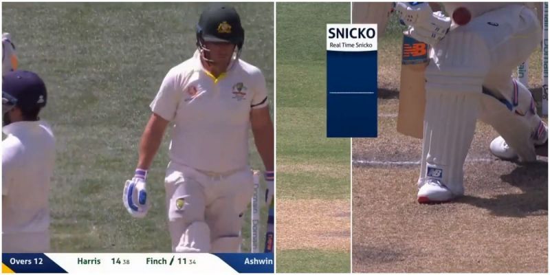 Aaron Finch would have survived had he used the DRS
