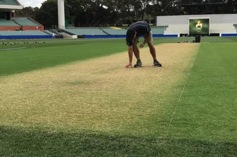 Adelaide Oval curator Damien Hough inspecting the wicket