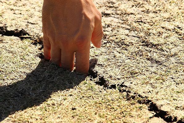 There have been a few unplayable pitches in the history of cricket