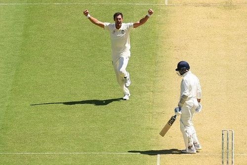 Mitchell Starc celebrates after dismissing Vijay on Day 1