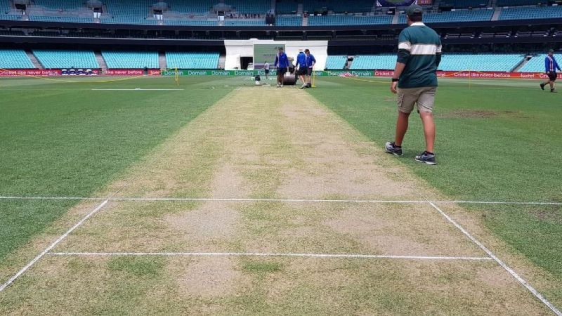The SCG pitch a day before the Test