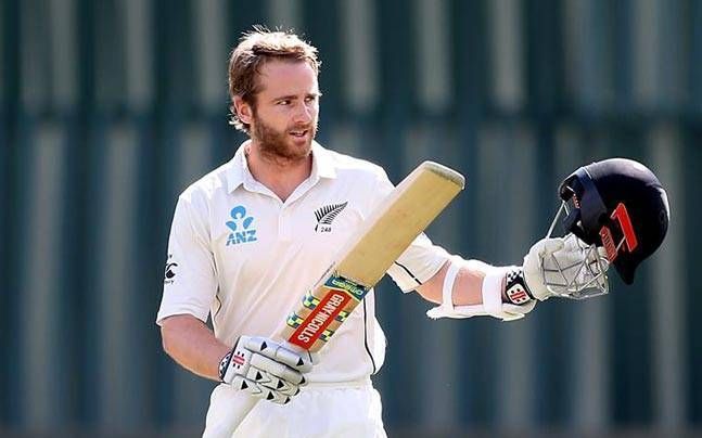 Image result for Williamson test cricket