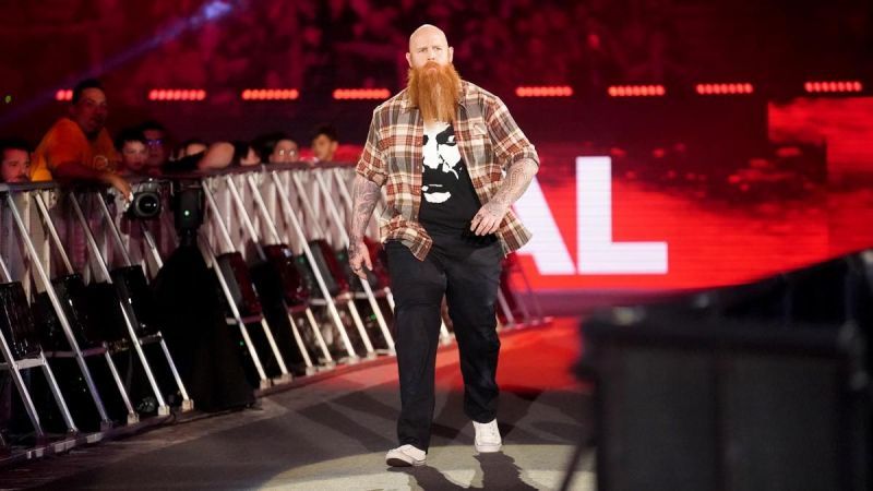 This could be the first of many returns from the Wyatt Family