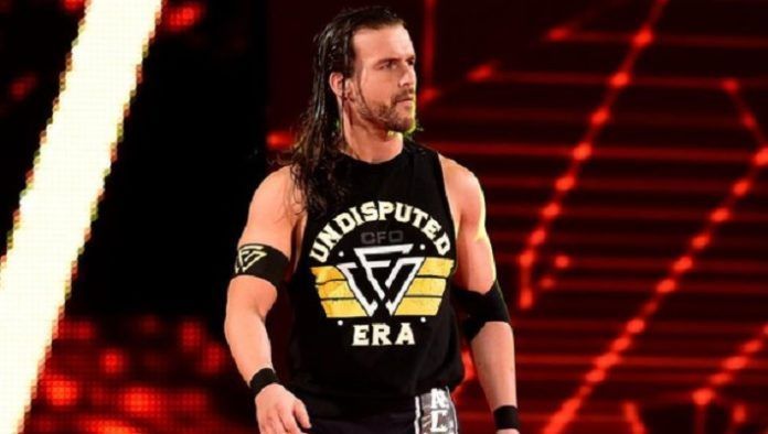 Cole has become one of NXT&acirc;s most popular Superstars