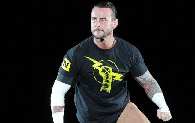 CM Punk replaced Wade Barrett as the new leader of 'The Nexus'