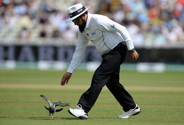 Aleem Dar in lighter spirits