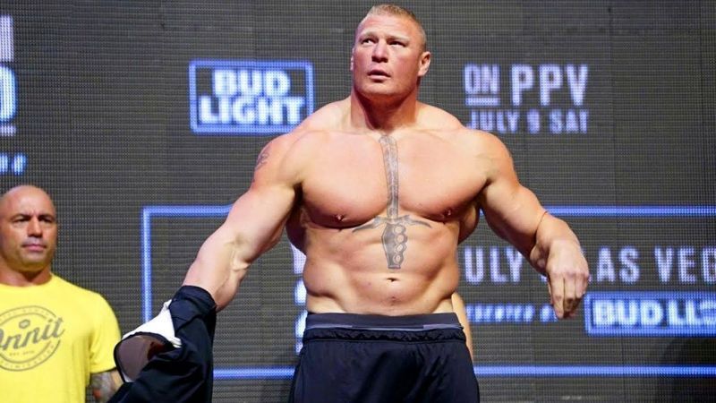 Image result for Brock Lesnar ufc