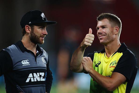 Kane Williamson and David Warner