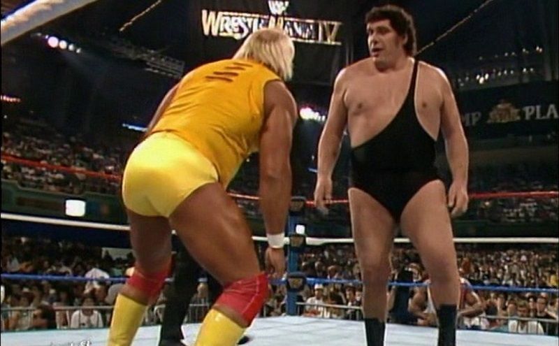 Hogan vs Andre - WM III rematch