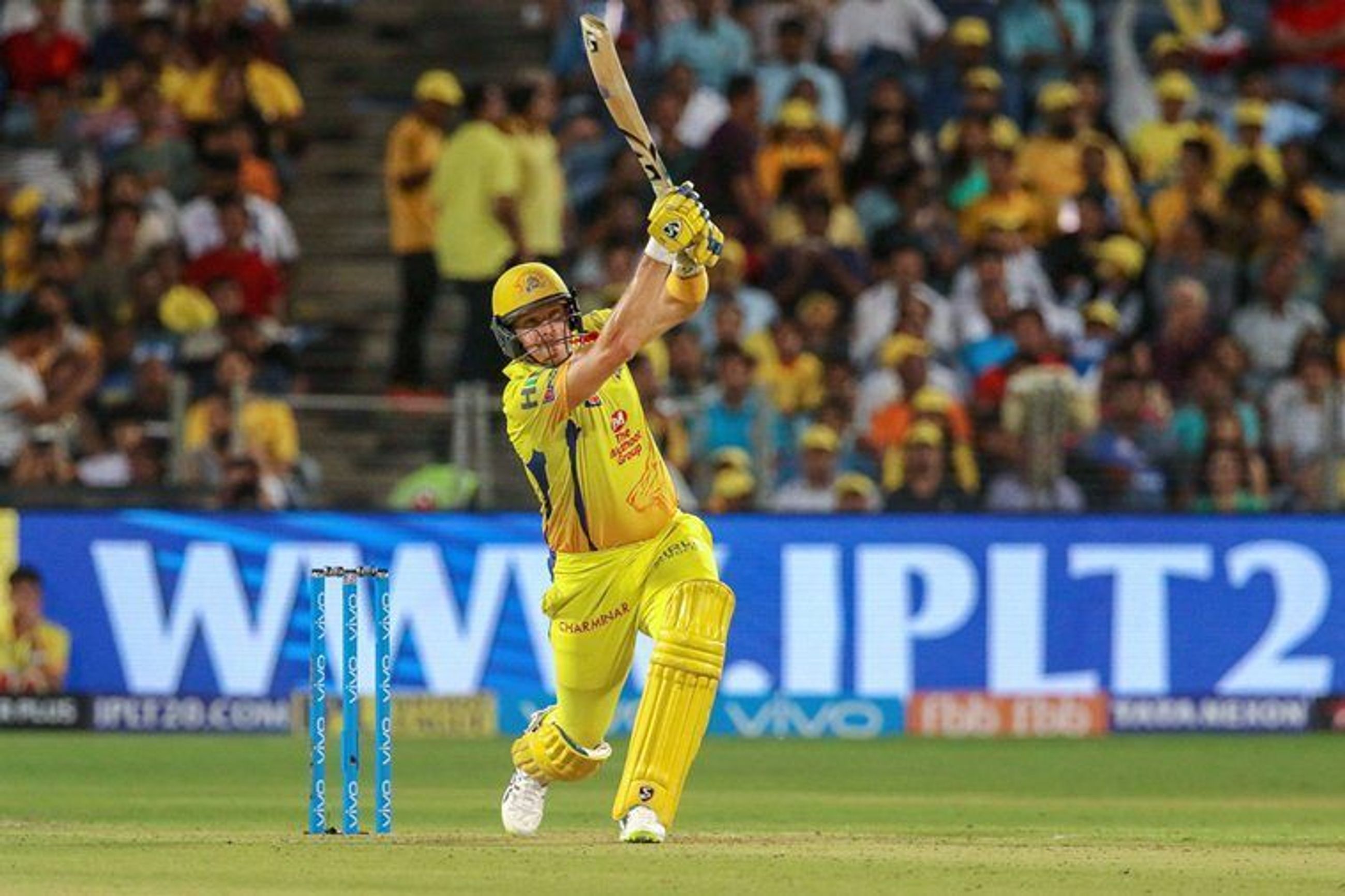 Shane Watson