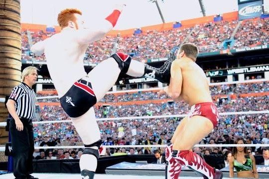 Daniel Bryan had a rough night against Seamus at Wrestlemania.