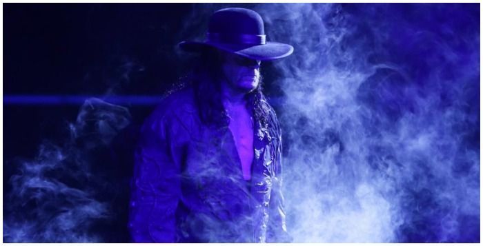 Image result for the undertaker