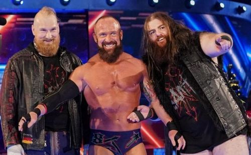 SAnitY didn't really have the chance to shine on the main roster