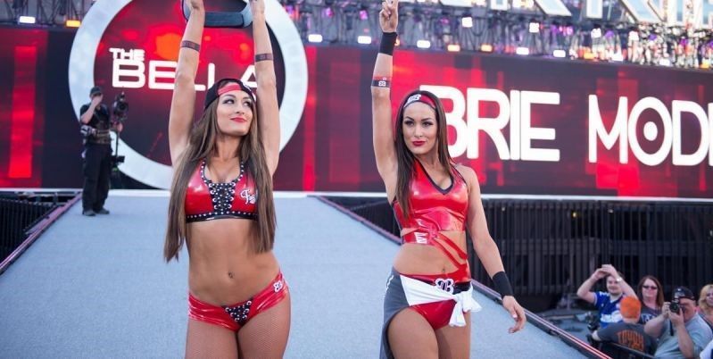 Nikki Bella and Brie Bella have stepped away from in-ring WWE pro wrestling competition