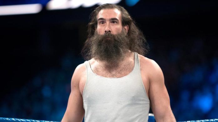 We may never Luke Harper on WWE television again