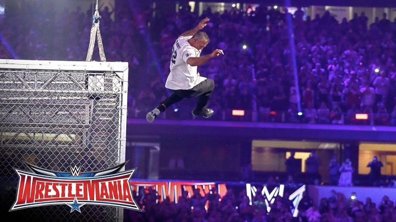 Shane McMahon dives off the top of the Hell in a Cell cage at Wrestlemania 32.