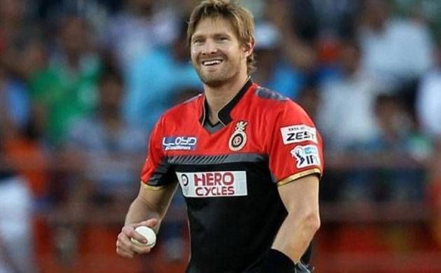 Shane Watson