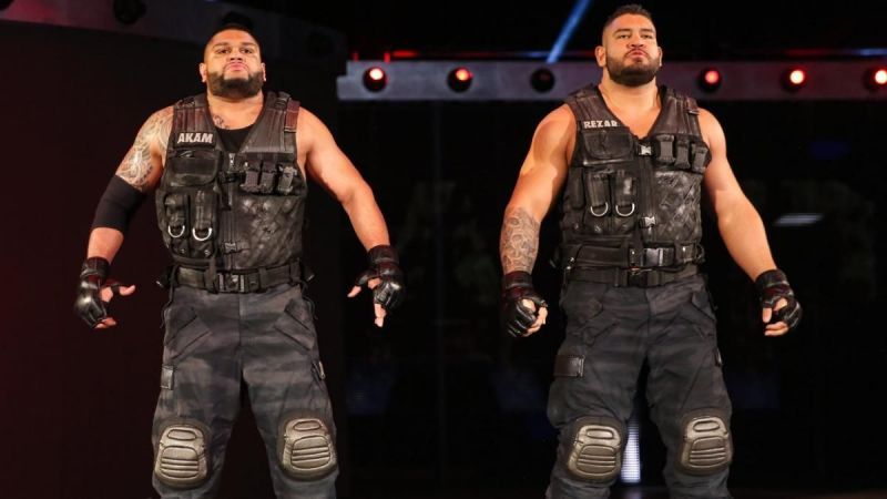 Image result for authors of pain wwe