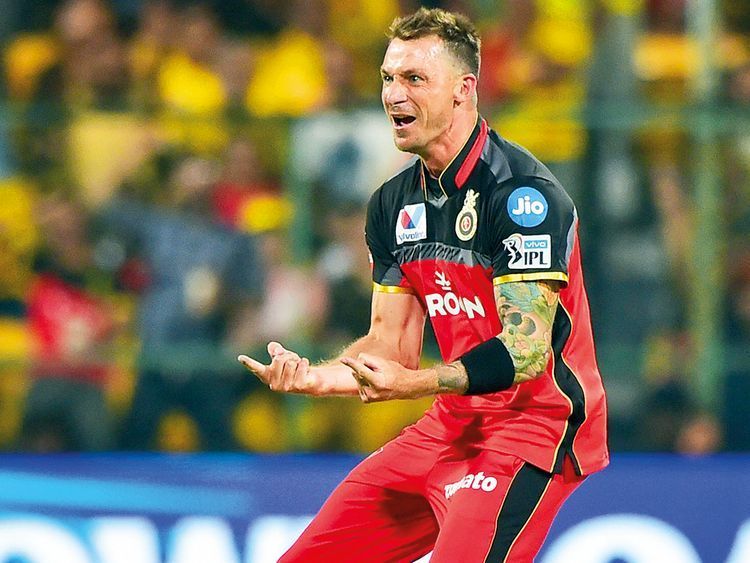 Dale Steyn RCB