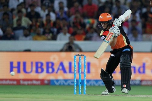 Kane Williamson (Image credit: BCCI/ IPLT20.com)