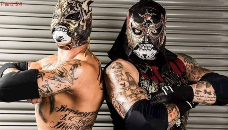 The Lucha Brothers have been an integral part of Impact&#039;s tag team division and have also appeared in MLW.