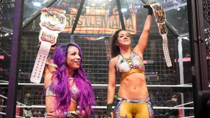 wwe women&#039;s tag team champions