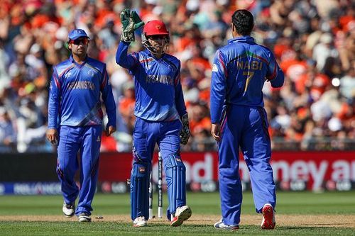 Afghanistan players during the 2015 World Cup 