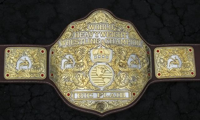 The WCW World Heavyweight Championship 1991-2001