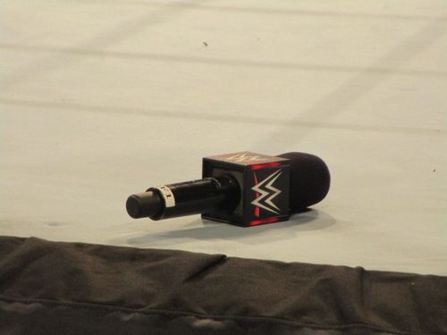 Image result for wwe microphone