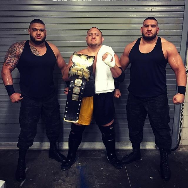 Samoa Joe and AOP: Pure Destruction