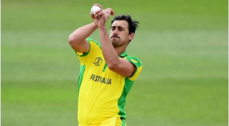 Mitchel starc - 15 wickets