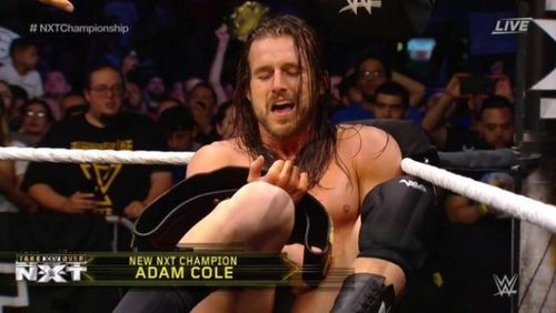 Adam Cole has finally reached the mountain top in NXT