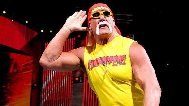Hulk Hogan was crowned the new WWE Champion at WrestleMania IX