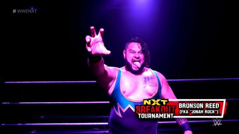 Image result for bronson reed nxt