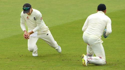 Joe Root (L) takes a catch against Ireland