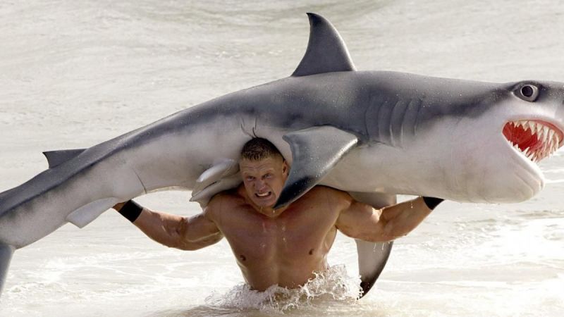 Is Brock about to F5 that shark?