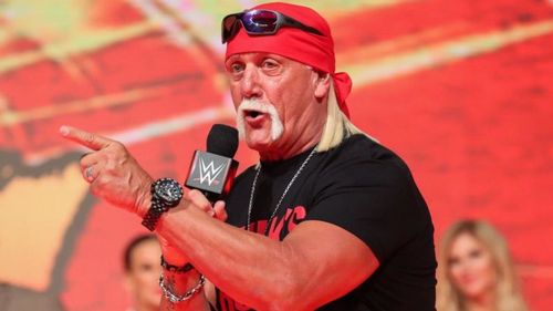 Image result for hulk hogan