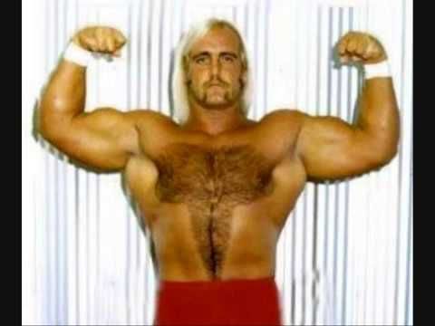 In his early career, Hulk Hogan was known as Sterling Golden and Terry 