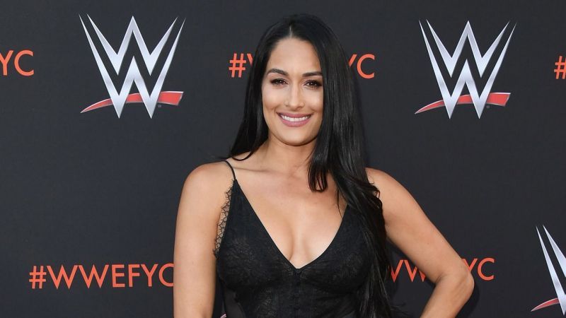 Nikki Bella has confirmed her new relationship in spectacular fashion