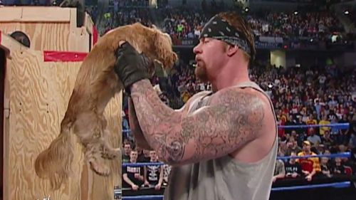 That time 'The Big Dog' met a little dog