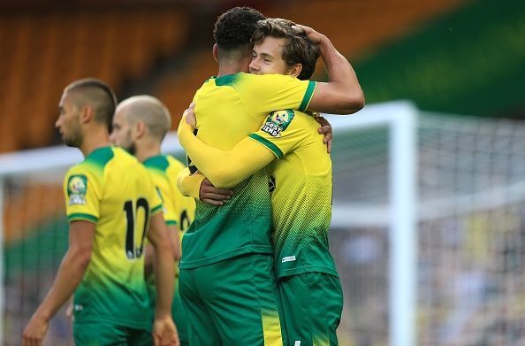 Norwich City might find the Premier League a hard nut to crack