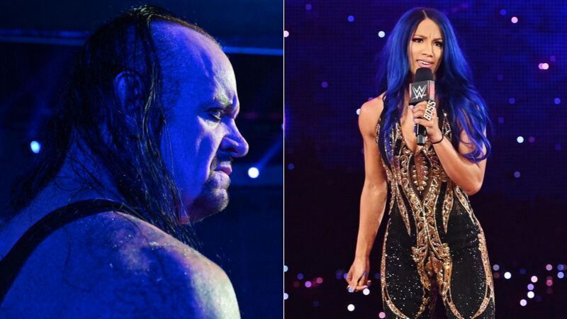 The Undertaker and Sasha Banks featured in this week&#039;s news