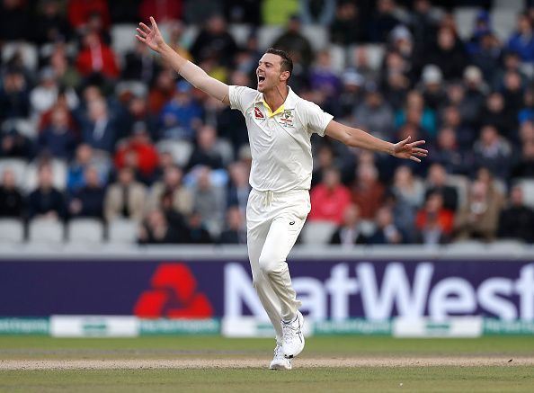 Josh Hazlewood jubilantly celebrates the wicket of Joe Root