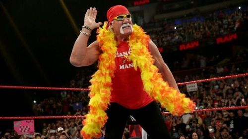 Hulk Hogan doesn't have the full backing of the WWE locker room