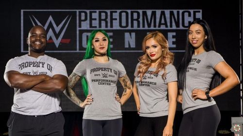 WWE have four new signings!