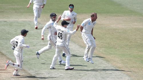 New Zealand celebrate against England