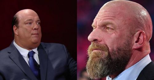 Paul Heyman and Triple H are high on 'The Dutch Destroyer' Aleister Black