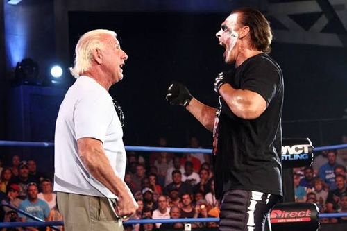 Sting vs Flair