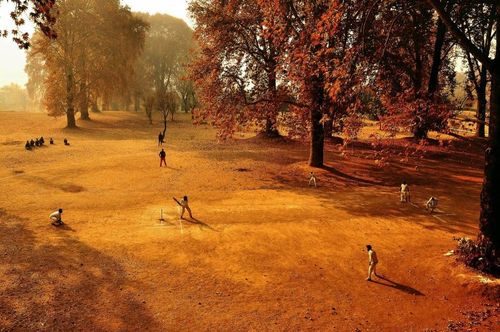 Wisden-MCC Photo of the Year